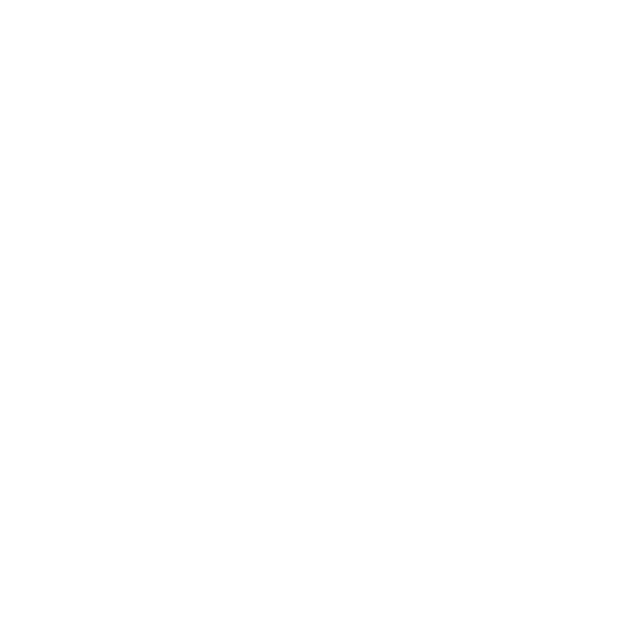 SVAngel